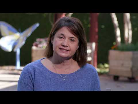 Play Video Youtube Video