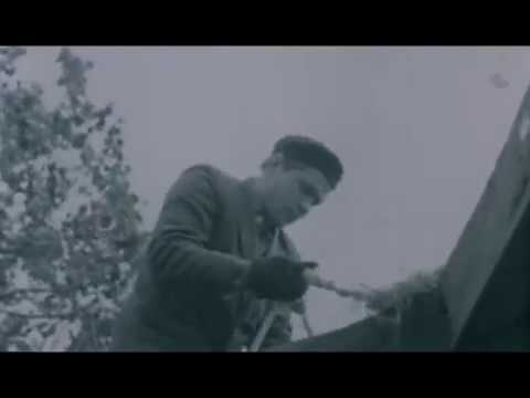 Юрій Зморович - Собор (1970)