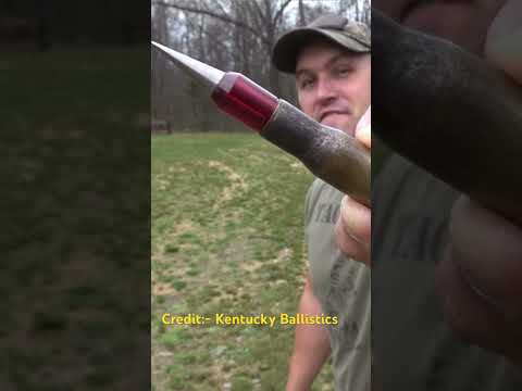 50 bmg vs Hammer. #experiment #50bmg #gunslover #bmg