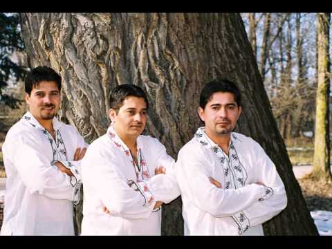 TRITON -HAI PRIETENI...SUS PAHARUL...