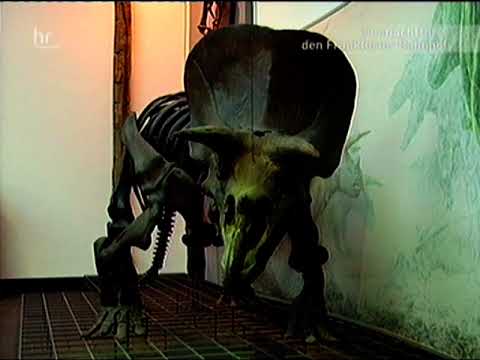 Hessenbilder - Frankfurt HBF, City und das Senckenberg Museum