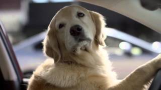 Bad hair day - Subaru Superbowl commercial 2016