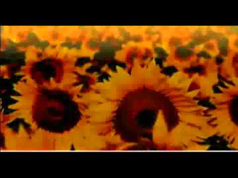 Happy Birthday Suhana :)