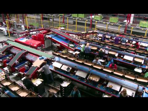 Sorter | SOLIDWORKS Case Study 