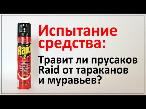 Рейд от тараканов и муравьев убил прусаков за 8 минут