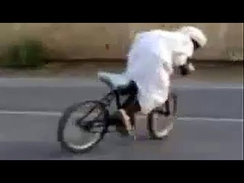 Funny Arab Video Part 19 | Arab halal memes | Halal funny videos