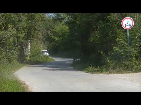 Zeljko Milutinovic / Uros Lukic - 51. Serbia rally 2018 - Renault Clio RS N