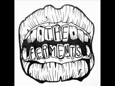The Ferments - Toxic Love (cover) (lyrics)