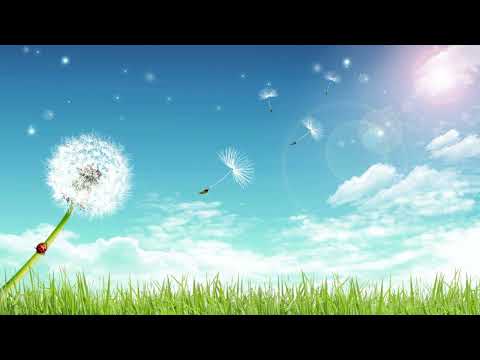 A Gentle Wind Blows [slowed & reverb] - FF Crystal Chronicles OST