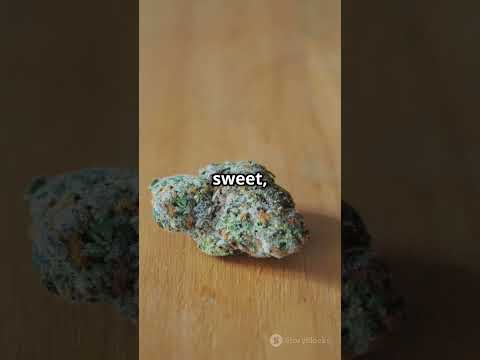 Discover the Exotic Pineapple Fruz Strai