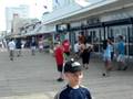 Funnel Cake Loving Seagull