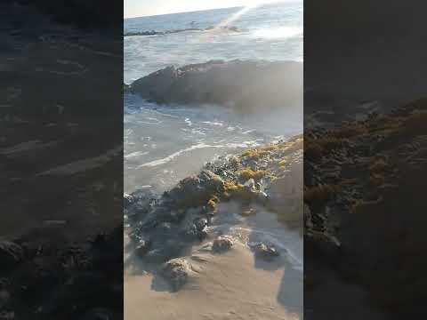 #beach #beautiful #beauty #lagunabeach  #relax #relaxing #relaxation #relaxingsounds ##subscribe #fy