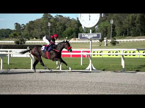 230115 c09 PAPA JOEY