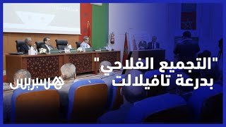 القافلة الوطنية لـ"التجميع الفلاحي" تصل درعة تافيلالت‎‎ thumbnail