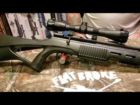 THE BEEMAN QB78S AIRGUN REVIEW AND SHOTS!!