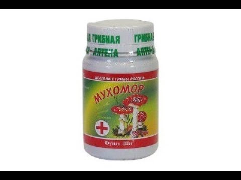 Восстановление ХРЯЩЕЙ, суставов грибами / СТРОЧКИ / МУХОМОРЫ / Фролов Ю.А. и Бутакова О.А.