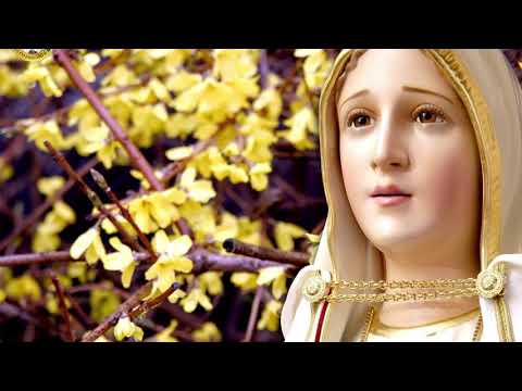 🎻SANTO ROSARIO CANTADO. MISTERIOS GOZOSOS 🎼P. Byron y Jóvenes #rosario #cantado #oracion