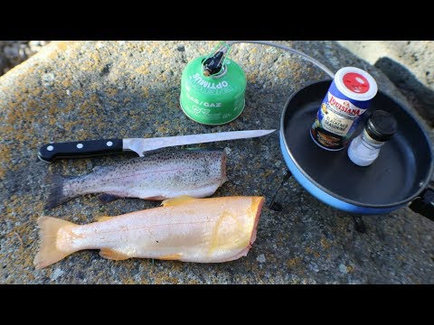 download lagu mp3 mp4 Speckled Trout Vs Rainbow Trout, download lagu Speckled Trout Vs Rainbow Trout gratis, unduh video klip Speckled Trout Vs Rainbow Trout