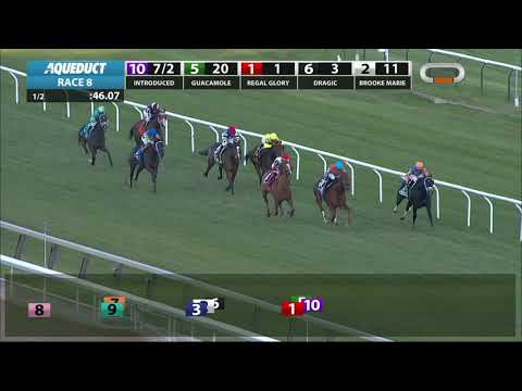 Regal Glory - 2018 - The Stewart Manor Stakes en Espanol