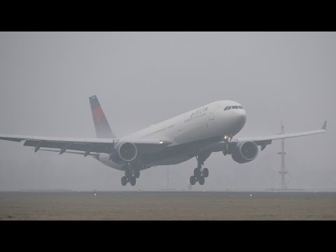 Heavies Appearing From the Fog & Landing at Amsterdam! 777, 767, 757, 747-200 & A330!