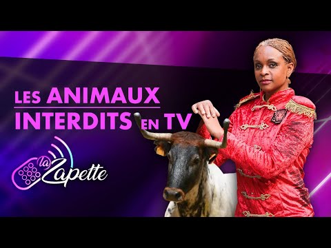 LES ANIMAUX INTERDITS À LA TÉLÉVISION | La Zapette