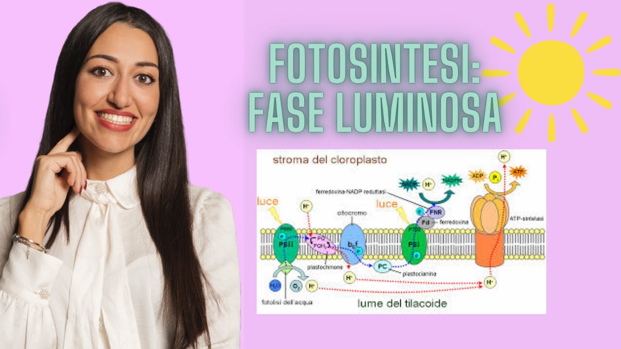 FOTOSINTESI: FASE LUMINOSA / VIDEO SUPER SEMPLIFICATO