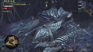 [モンハンワイルズ]　おっさんの操虫棍の練習❕