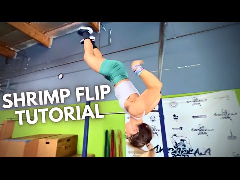 Shrimp Flip Tutorial - 3 Step Progression