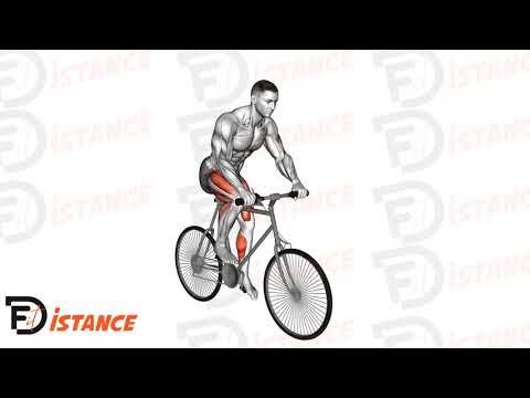 Vélo d'extérieur - Exercice Vélo d'extérieur en vidéo