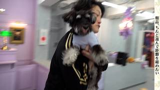 犬泥棒の粗品【ちた】