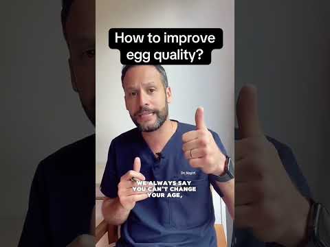How To Improve Egg Quality