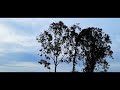 Ninaithen Vandhai Love Bgm Harrisvimal Creativity Isai Kadhalan