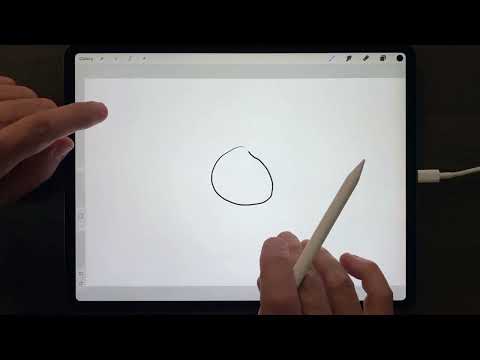 Intro To Procreate Quick Shapes