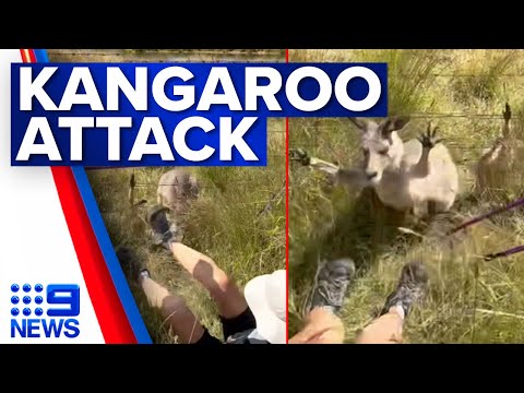 Woman’s warning after being viciously attacked by a kangaroo | 9 News Australia