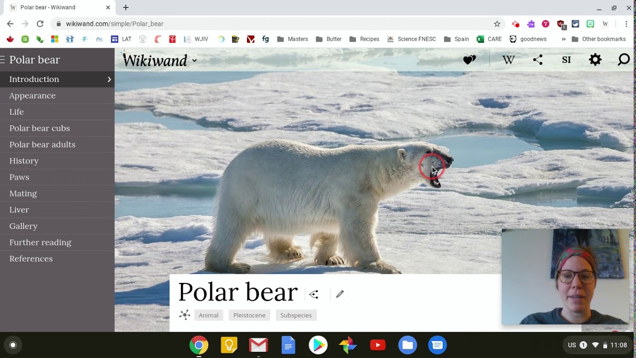 Simple Wikipedia & Extension Wikiwand
