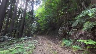 日本のオデッセイ2025 Day5 宇和島ー松葉川温泉 10/07