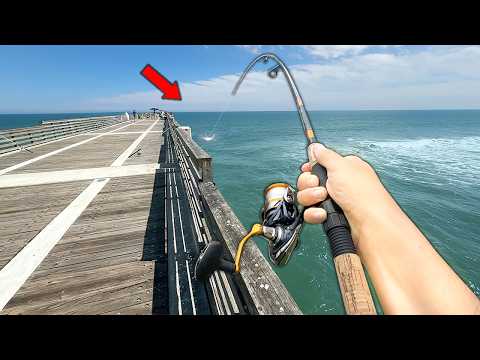 Florida PIER Fishing.. I’ll Never Fish a Pier the Same Way Again