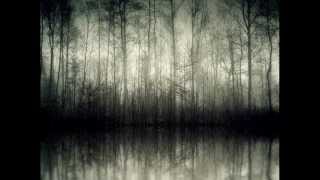 Darkthrone - Transylvanian Hunger -05 - Graven Takeheimens Saler