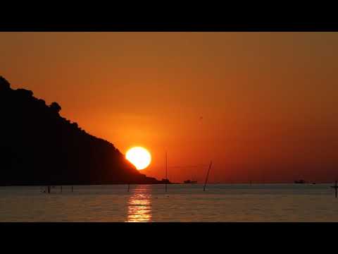 In the land of the morning star