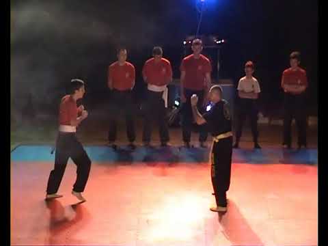 2 tehnike   Noc borilackih vestina 2008 godine u Sapcu