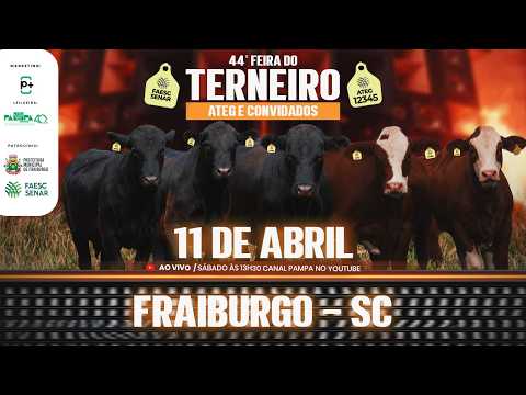 44° Feira do Terneiro ATEG, FRAIBURGO/SC - 11/04/2026 14:00h