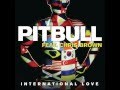 International Love - Pitbull (Feat. Chris Brown) (Instrumental with Hook)