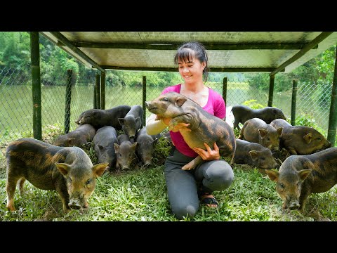 300 Day: Building, Raising Pigs, Farming, Cooking, Harvesting,...She can do everything? TIMELAPSE