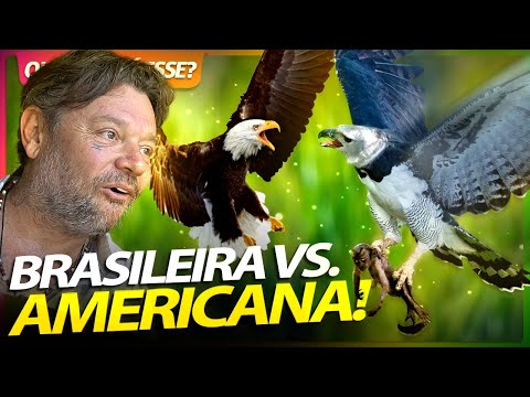 HARPIA BRASILEIRA VS ÁGUIA AMERICANA! | RICHARD RASMUSSEN