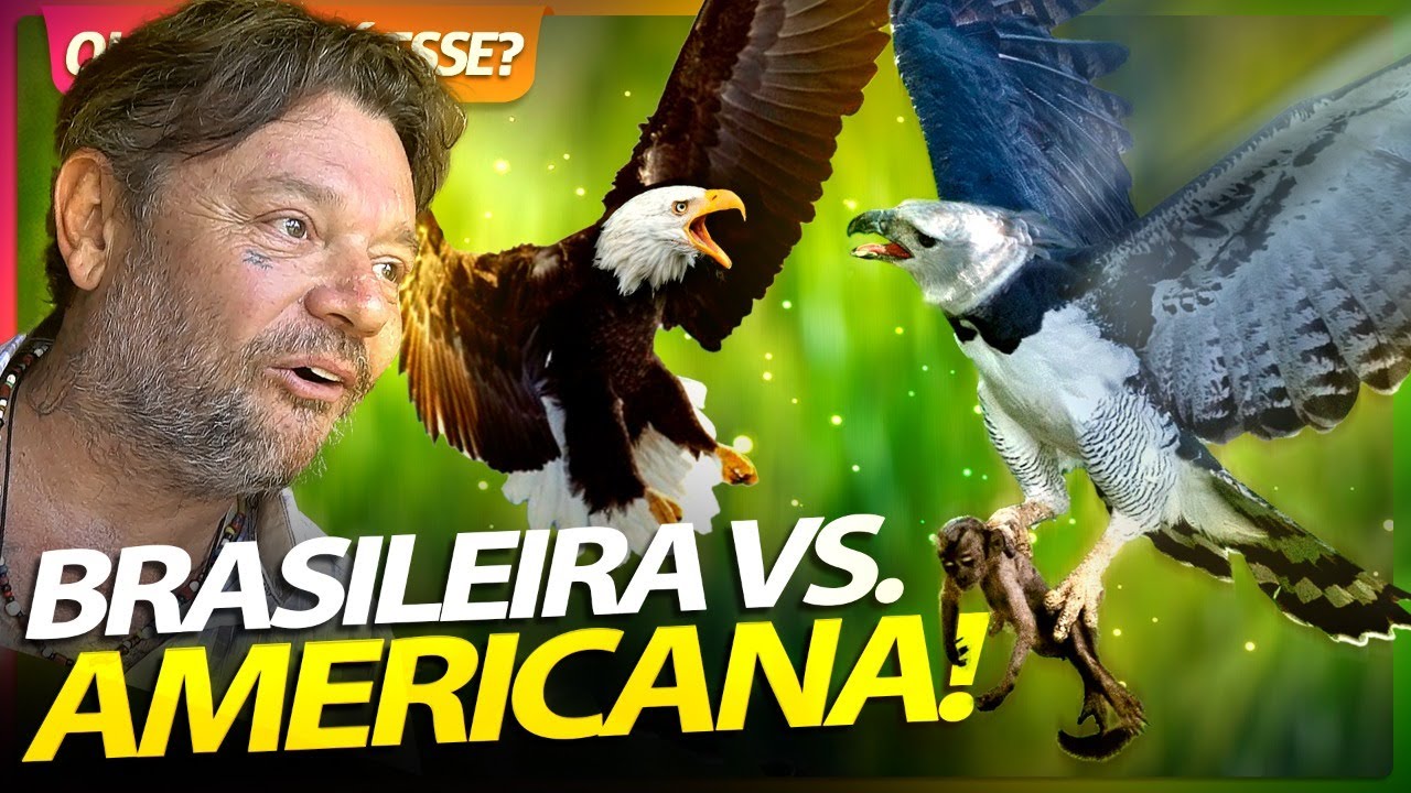 HARPIA BRASILEIRA VS ÁGUIA AMERICANA! | RICHARD RASMUSSEN