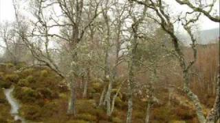 preview picture of video 'Glen Affric Scottish Highlands Scotland'