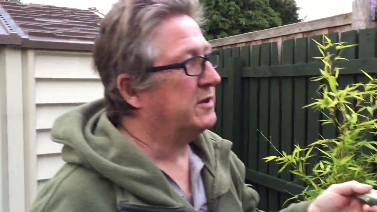 Ronseal One Coat Fence Life, Forest Green - Review