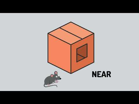 Where is the Mouse | Bilingual Education | Fun Kids Videos