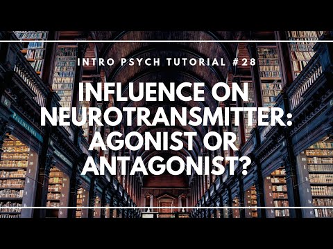 Neuron Structure Parts of a Neuron Intro Psych Tutorial 23