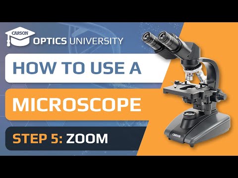 Part of a video titled How to Use a Microscope | Step 5 Zoom | Optics University - YouTube